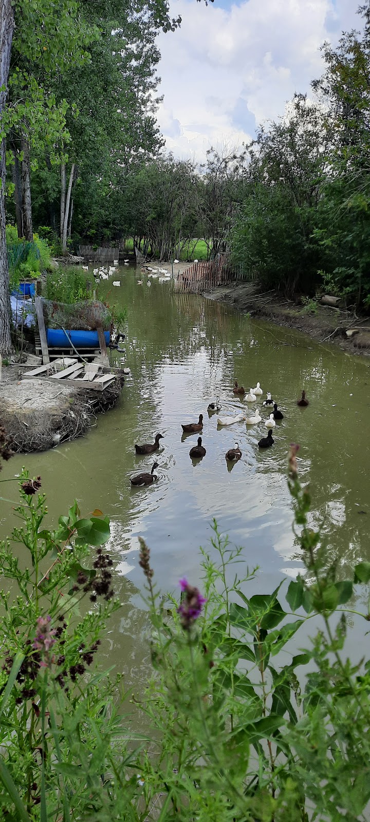 Jardin Ancestral Farming | 1450 Mnt Wilson, Ile-Bizard, QC H9E 1K3, Canada | Phone: (514) 435-2147