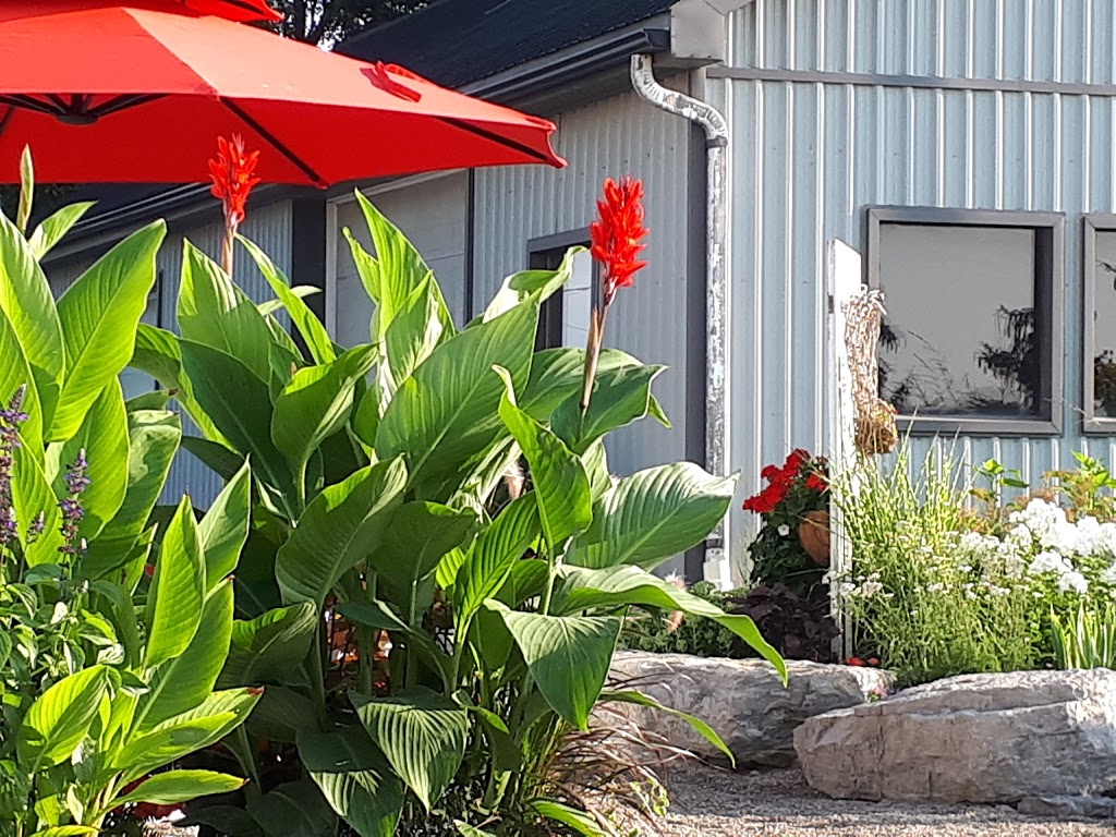 Urban Serenity Aesthetics & Hair | 942 Concession Rd 4, Fisherville, ON N0A 1G0, Canada | Phone: (905) 570-4942