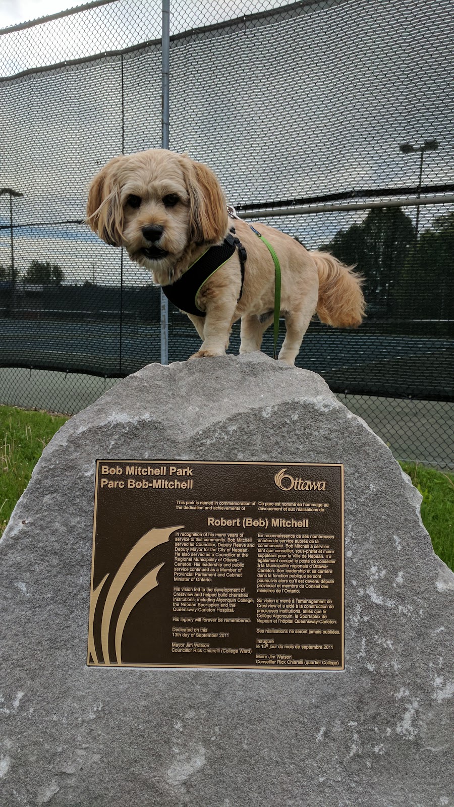 Bob Mitchell Park | 58 Fieldrow St, Nepean, ON K2G 2Y7, Canada | Phone: (613) 580-2595