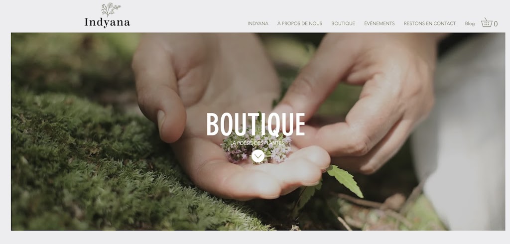 Indyana | 151 Chemin Hatley Ctre, Hatley, QC J0B 2C0, Canada | Phone: (819) 640-3072