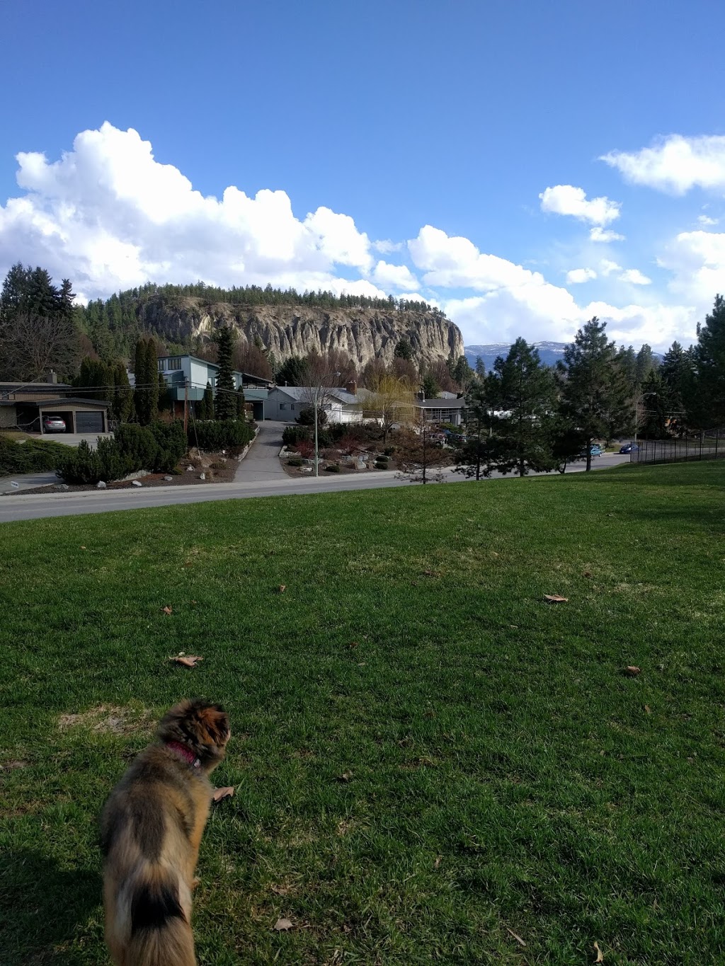 Golfview park | Summit Dr, Kelowna, BC V1Y, Canada