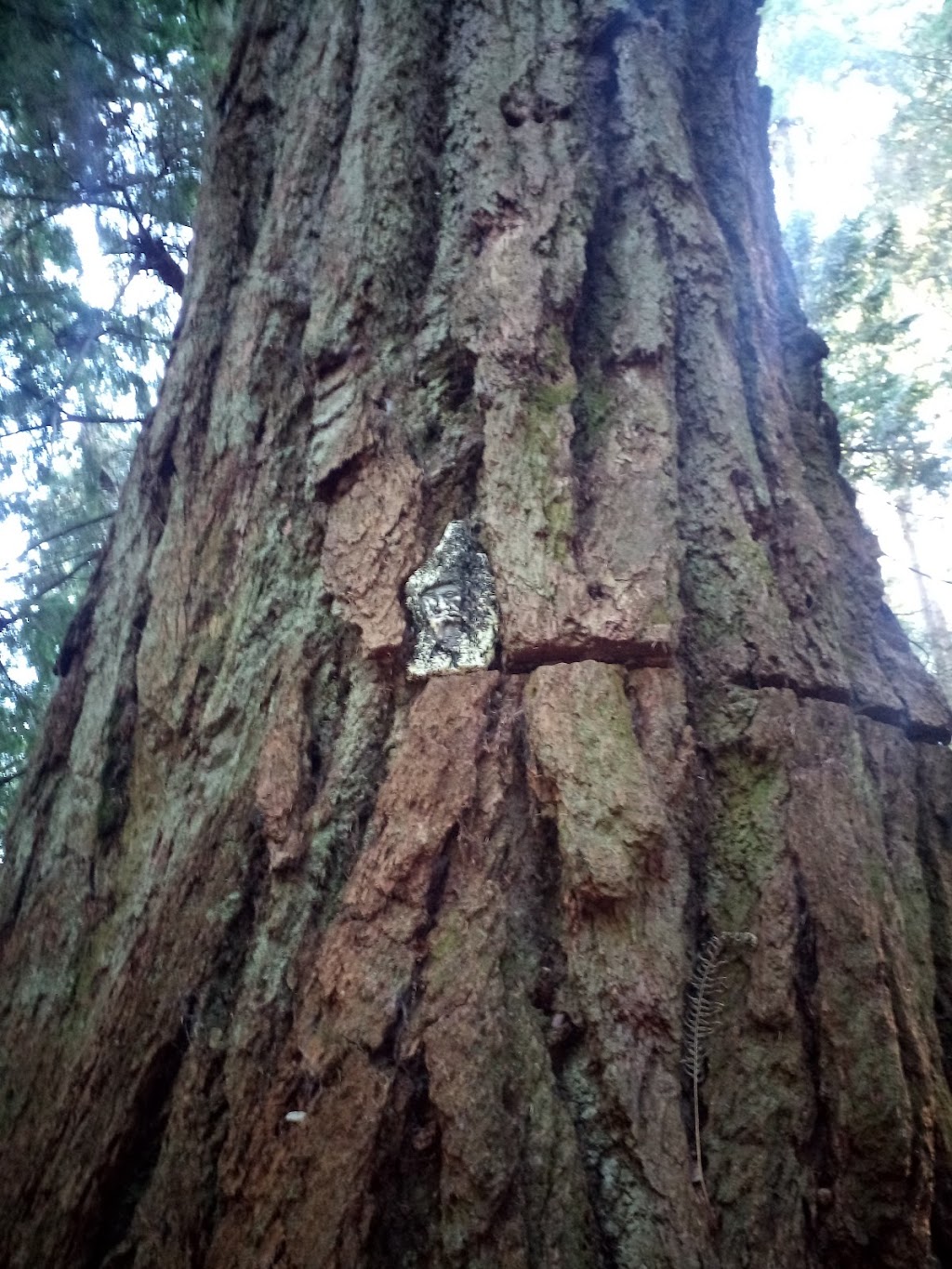 Xenia Labyrinth | 1401 Fernie Rd, Bowen Island, BC V0N 1G2, Canada | Phone: (604) 947-9816