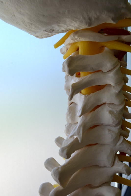Creemore Chiropractic, Dr. Neil Patrick | 15 Elizabeth St E Suite 4, Creemore, ON L0M 1G0, Canada | Phone: (705) 466-3447