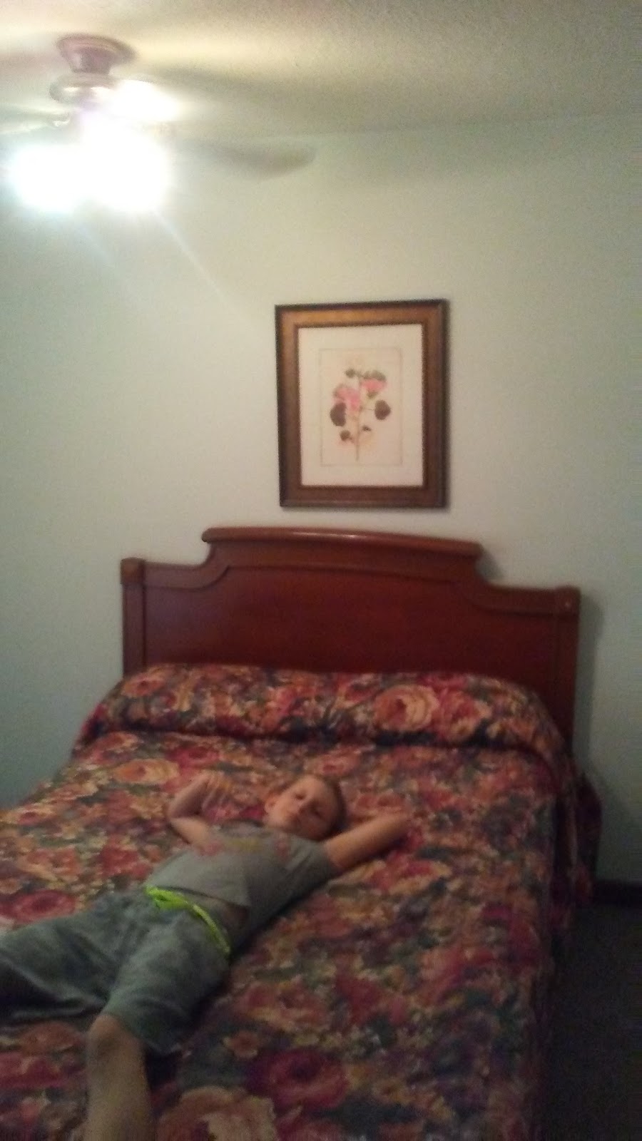 Cedar Springs Motel | 12363 ON-7, Georgetown, ON L7G 4S4, Canada | Phone: (905) 877-8866