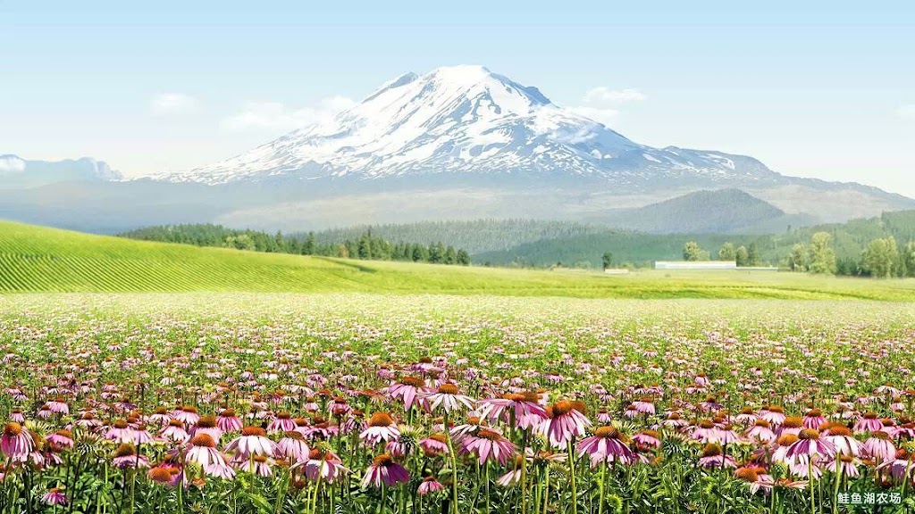 Amway 安利 安麗 列治文+大温地区 | CA, 9651 Dayton Ave Unit 28 Richmond, BC V6Y 3C3, Canada | Phone: (604) 318-8762