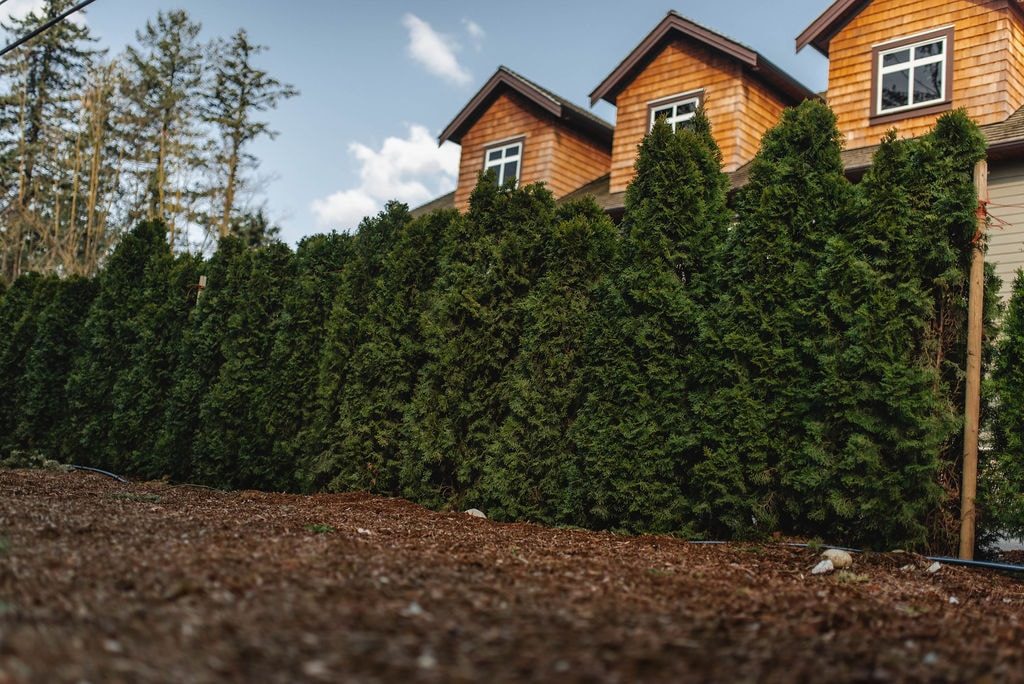 Fraser Valley Cedars | 1186 Columbia St, Abbotsford, BC V2T 5X8, Canada | Phone: (604) 217-2886