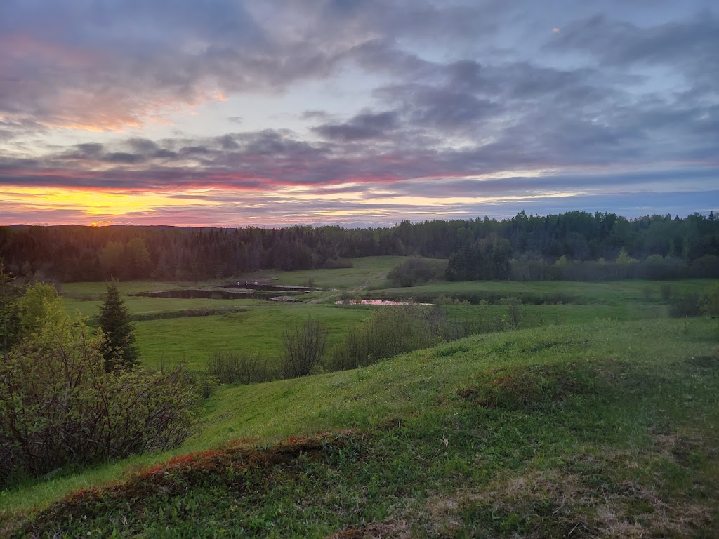 Ferme Sirois | 495 Rue Principale, Colombier, QC G0H 1P0, Canada | Phone: (581) 726-2105