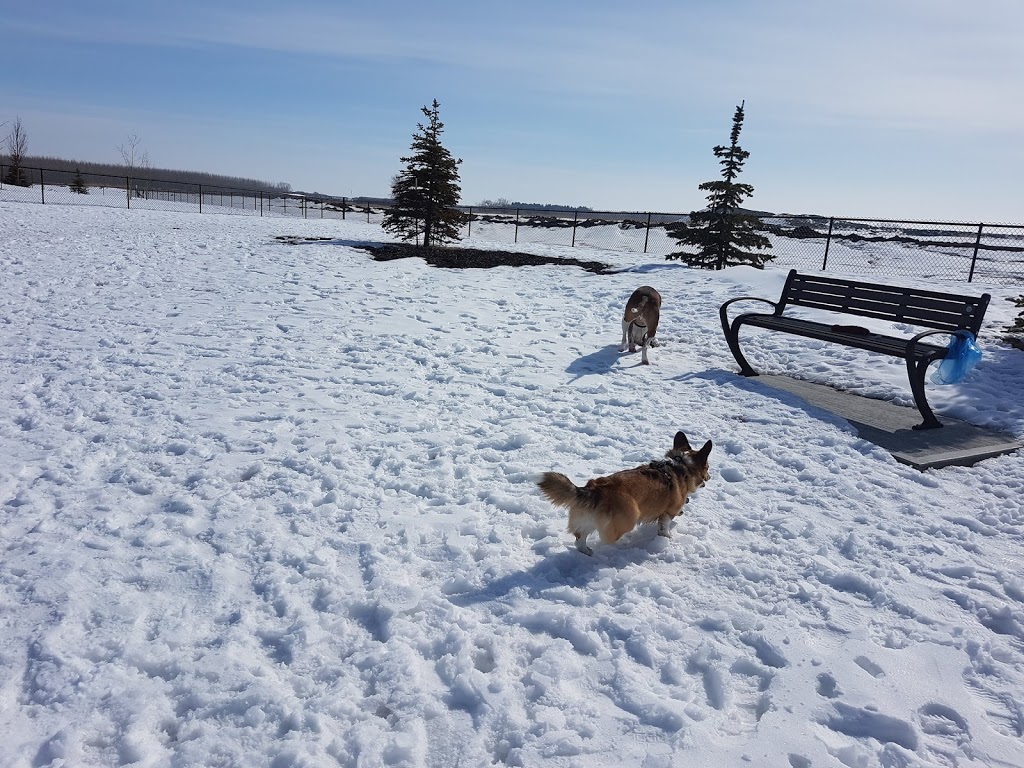 Paisley Dog Park 3051 Paisley Green SW, Edmonton, AB T6W 1A3, Canada
