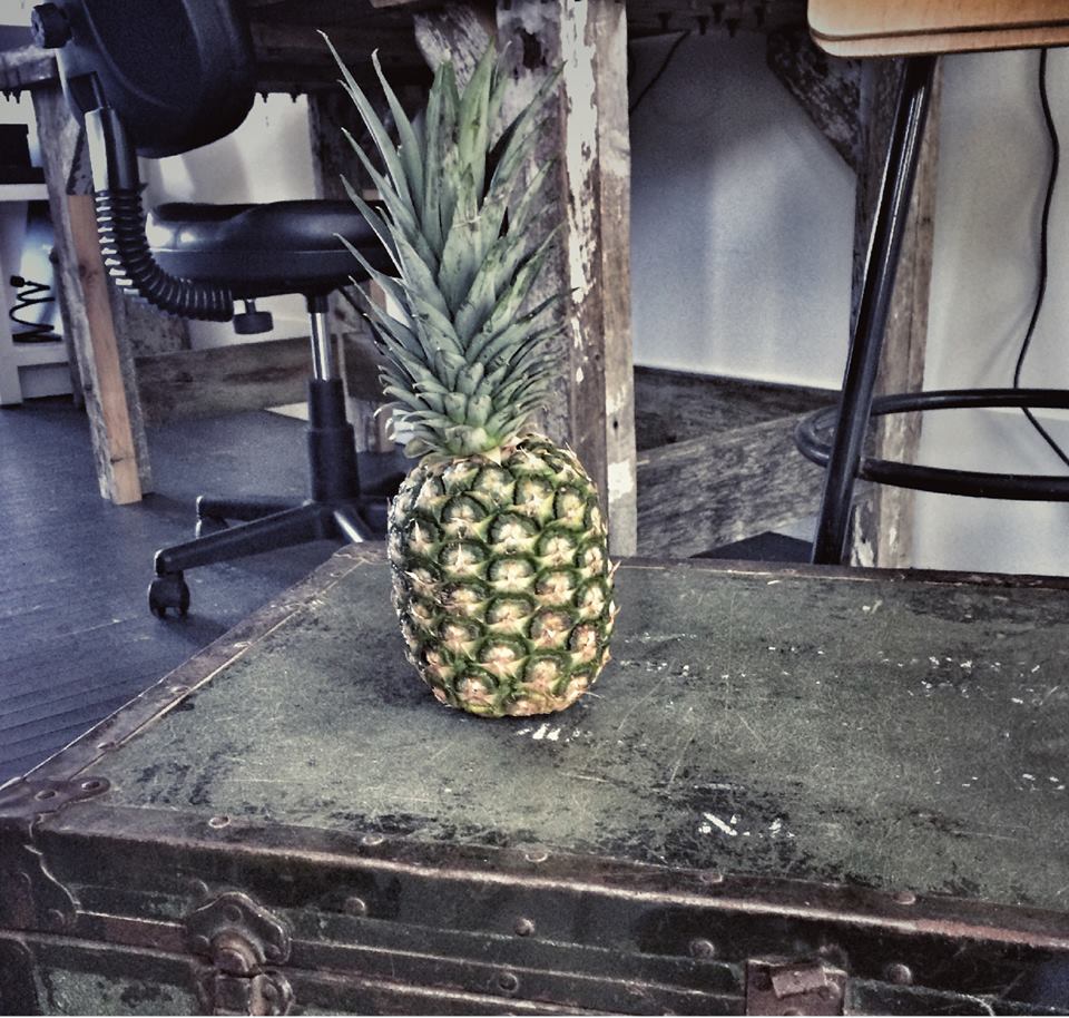 The Design Republic | 5 Durham St S, Colborne, ON K0K 1S0, Canada | Phone: (905) 376-8108