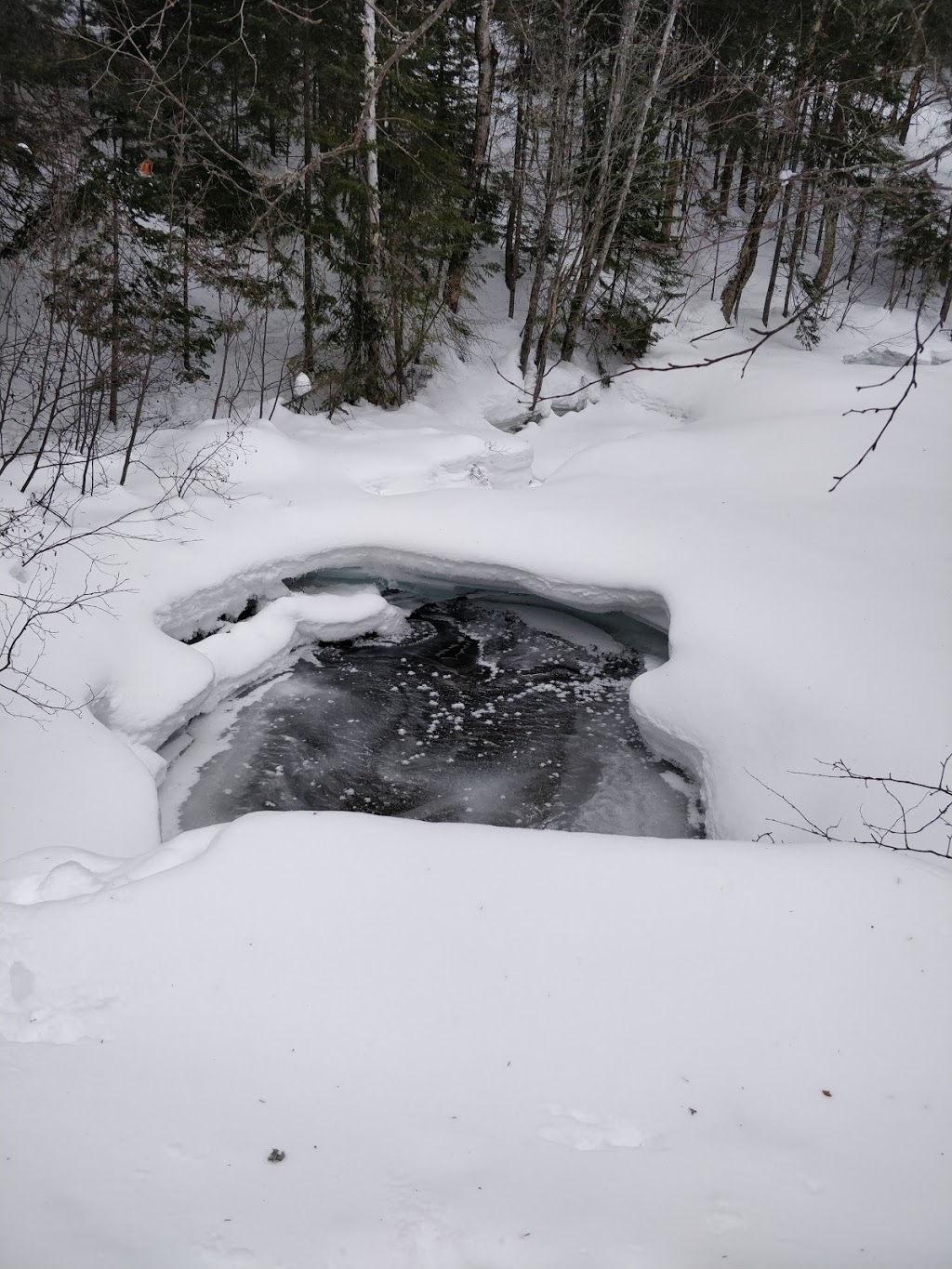 Mont Ste-Anne | Saint-Ferréol-les-Neiges, QC G0A 3R0, Canada