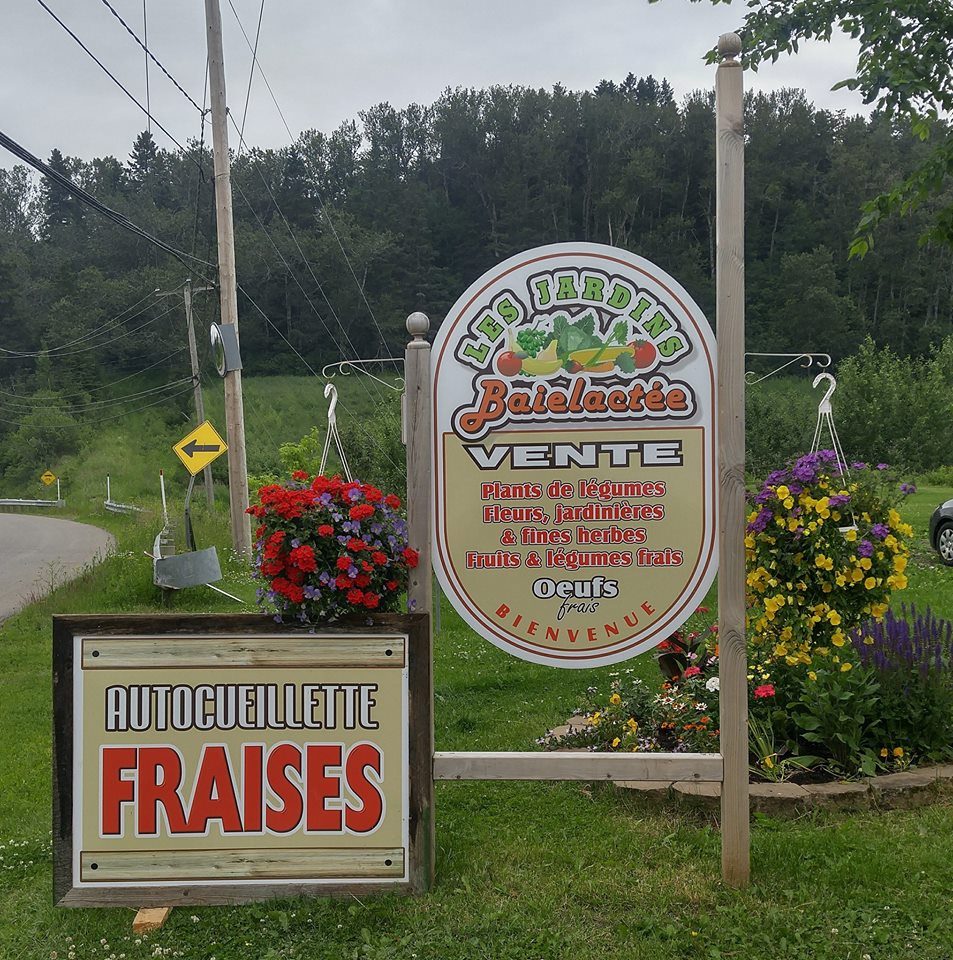 Jardins baie lactee | 1254 Chemin St Joseph, La Baie, QC G7B 3N9, Canada | Phone: (418) 446-1547