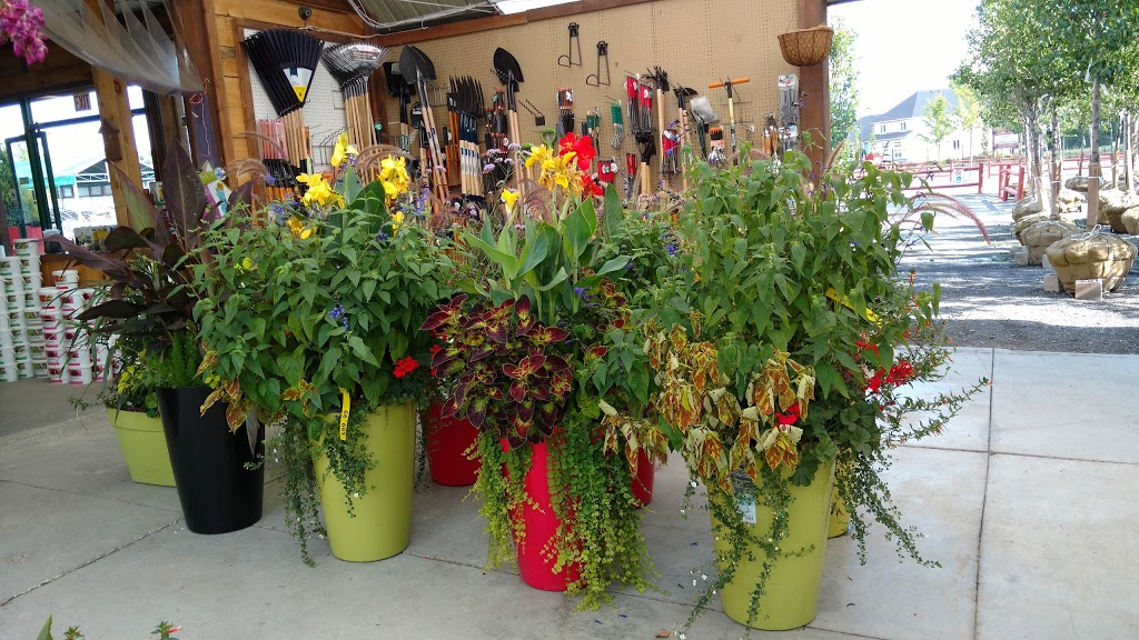 J.A. Laporte Flowers & Nursery | 455 Famille-Laporte Ave, Orléans, ON K4A 0Y7, Canada | Phone: (613) 833-2316