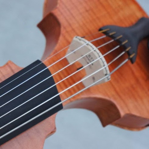Electric Violin Lutherie | 4055 Elma Rd, Buffalo, NY 14221, USA | Phone: (716) 393-9385