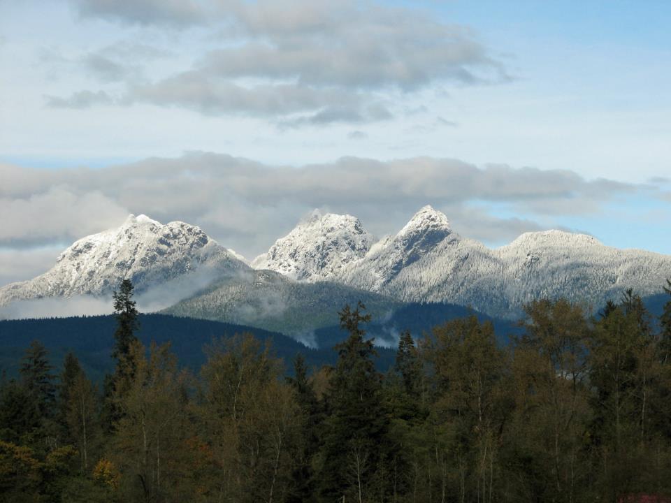 Igor Mednikov RMT, Registered Massage Therapist | 22420 Dewdney Trunk Rd #300, Maple Ridge, BC V2X 3J5, Canada | Phone: (604) 788-0019