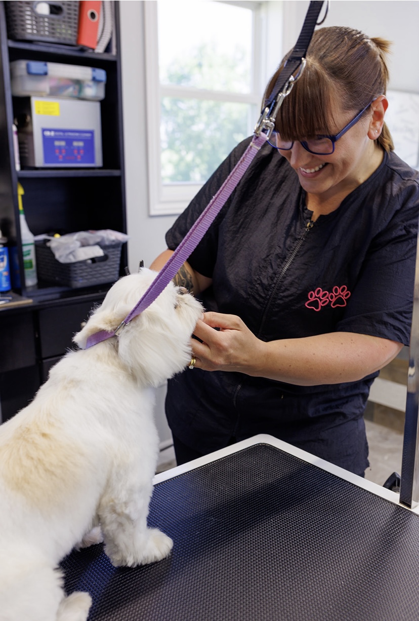 Doggy Styling | 161 Power Rd, Cardigan, PE C0A 1G0, Canada | Phone: (902) 326-8696