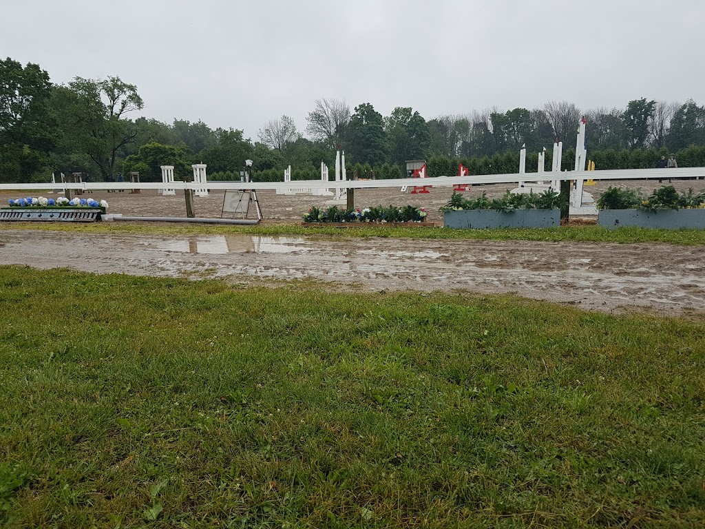 Eden Ridge Equestrian | 684536 Rd 68, Woodstock, ON N4S 7V7, Canada | Phone: (519) 777-2306