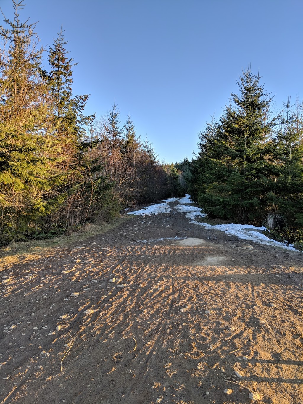 Lookout Mountain Open Space | Bellingham, WA 98229, USA
