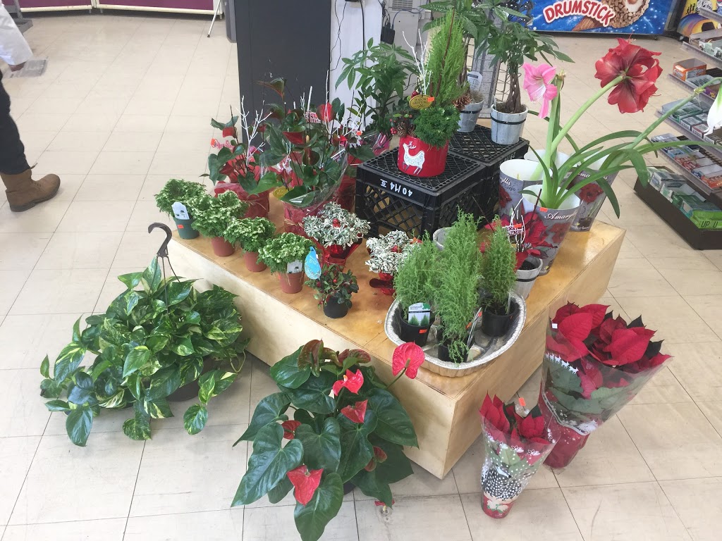 Stouffville Variety | 6757 Main St, Whitchurch-Stouffville, ON L4A 6B6, Canada | Phone: (905) 591-6700