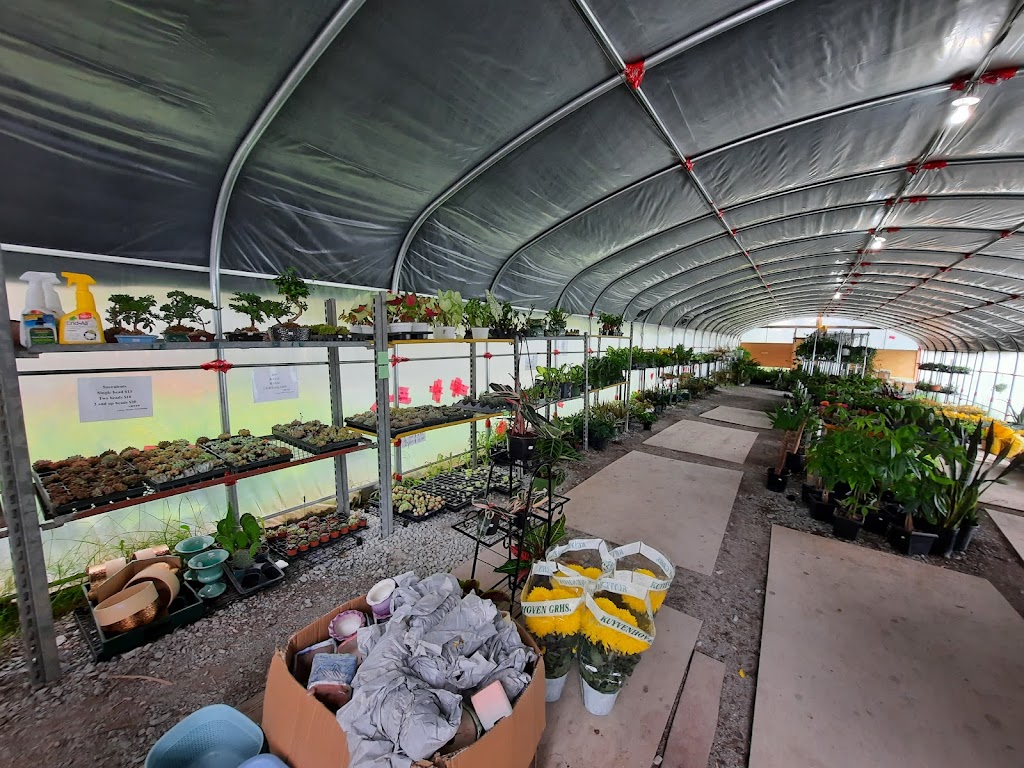 Lucky FLower Greenhouse 小确幸花房 | 4910 Elgin Mills Rd E, Markham, ON L6C 1L5, Canada | Phone: (416) 567-5500