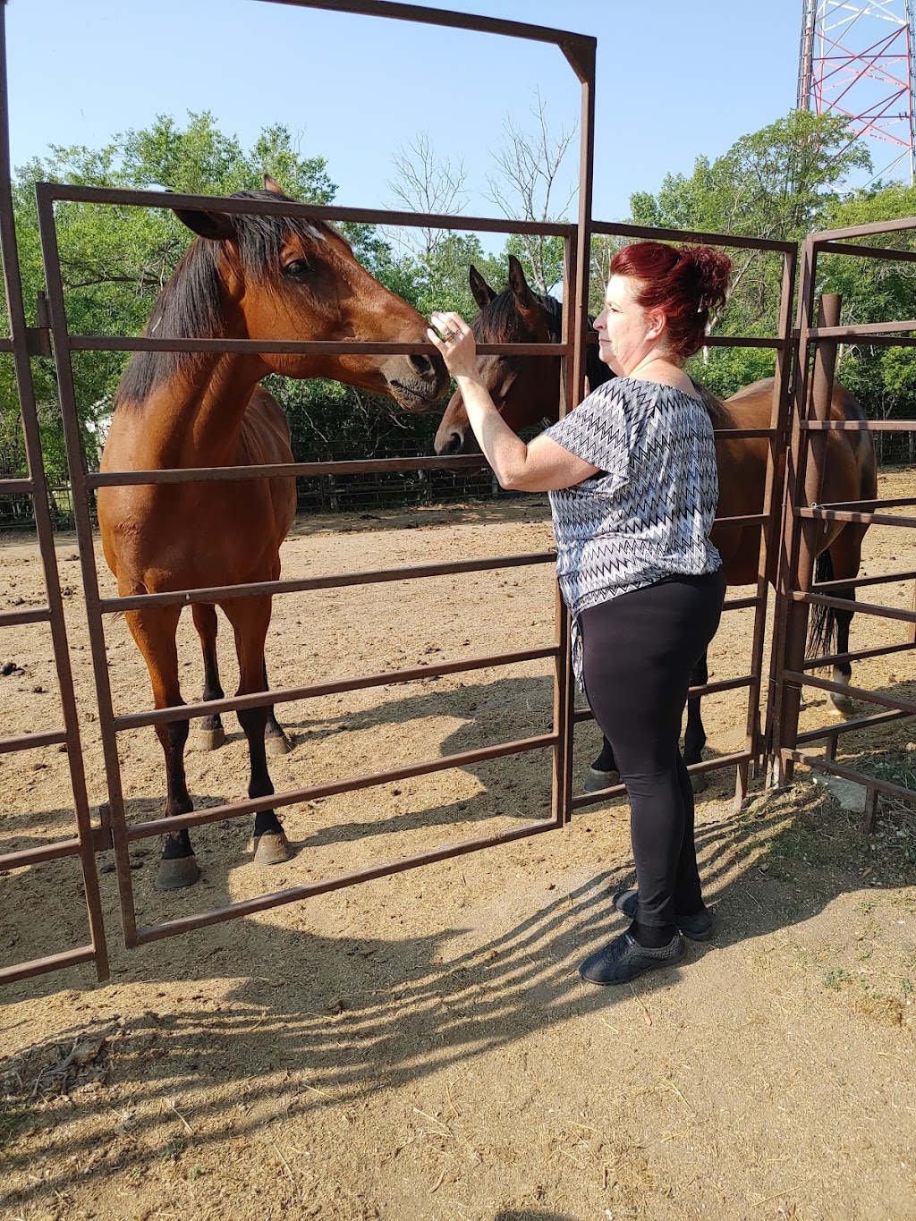 Grand Oak Meadows Stables | 1237 McCreary Rd, Winnipeg, MB R3P 0M6, Canada | Phone: (204) 250-7722
