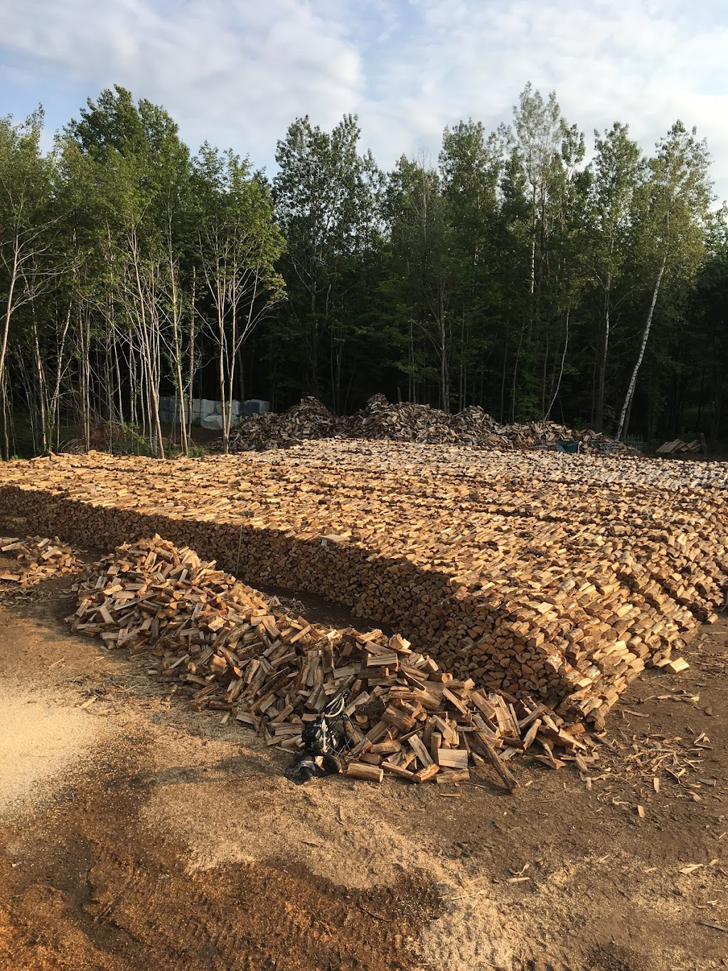 Bois chauffage dionne | Quebec City, QC G2G 2G5, Canada | Phone: (418) 933-9836