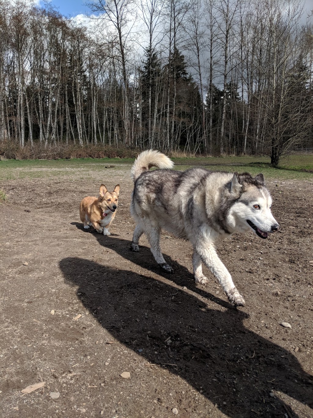 Lake Padden Dog Park | 4882 S Samish Way, Bellingham, WA 98226, USA | Phone: (360) 738-7400