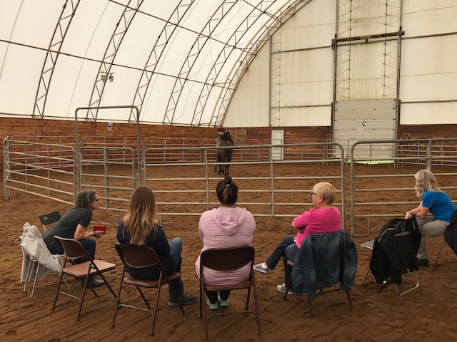 Unbridled Coaching | 3158 Stagecoach Rd, Osgoode, ON K0A 2W0, Canada | Phone: (613) 277-4402
