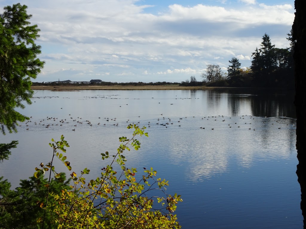 Wittys Lagoon Regional Park - Main Parking Lot | 4100 Metchosin Rd, Victoria, BC V9C 3Z6, Canada
