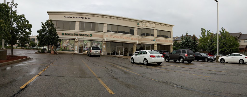 Beattie Pet Hospital Ancaster - Hamilton | 34 Stone Church Rd, Ancaster, ON L9K 1S5, Canada | Phone: (289) 639-5540