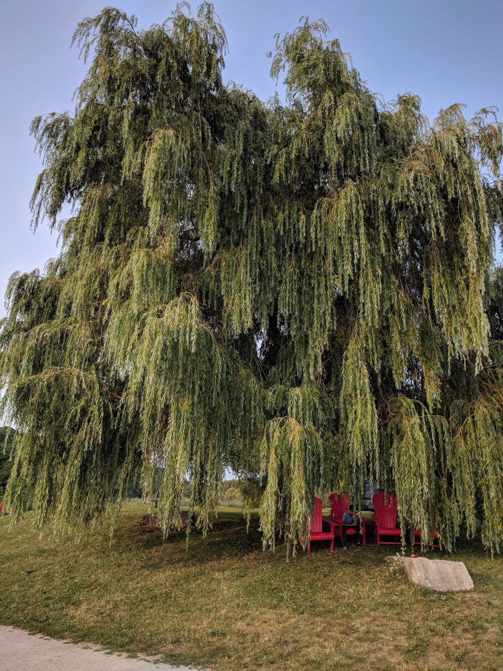 Bluffs Lookout | Cliffside, Toronto, ON M1M 1A4, Canada