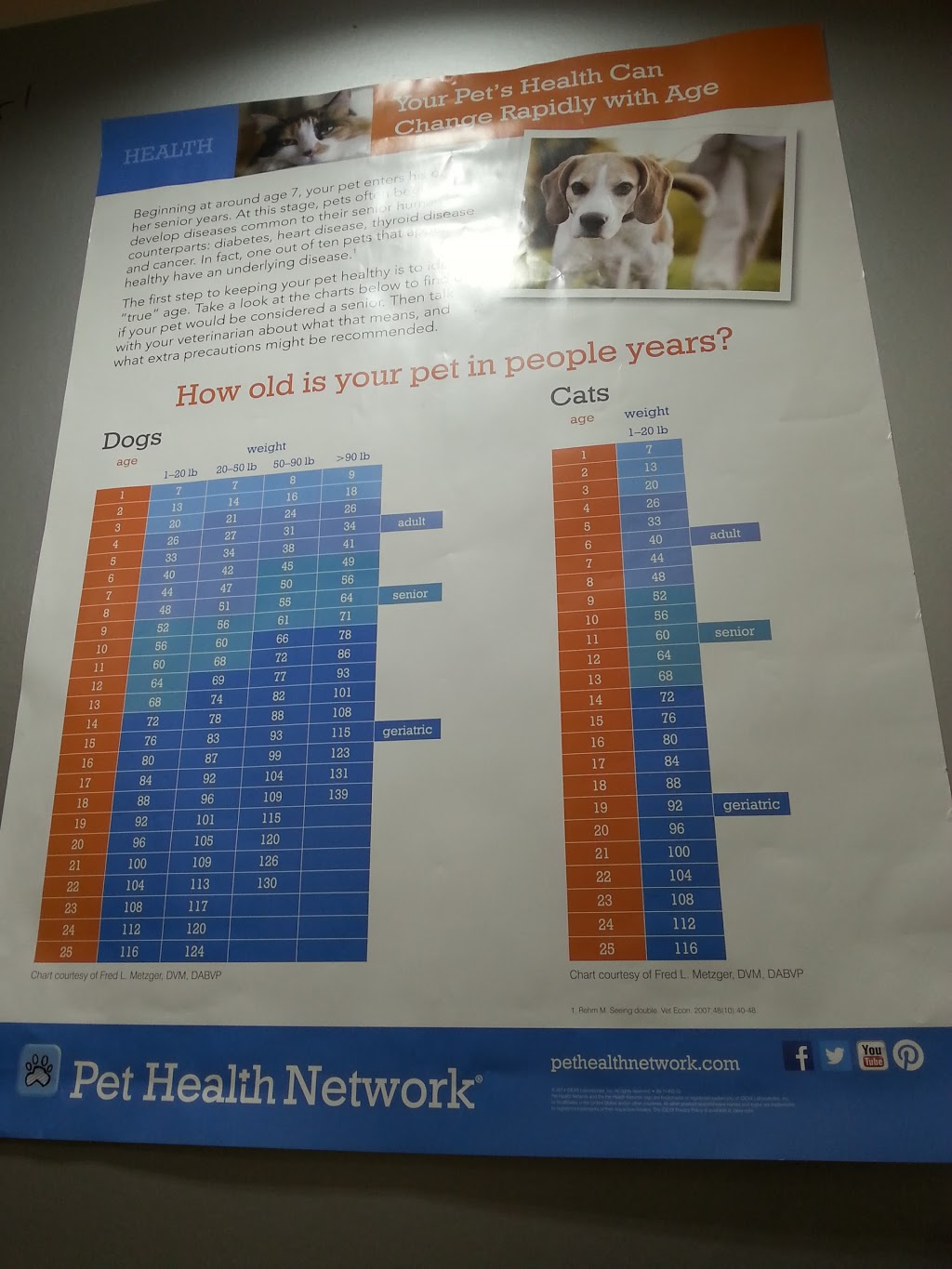 Abbotsford Animal Hospital | 14958 Yonge St, Aurora, ON L4G 1M7, Canada | Phone: (905) 727-7379