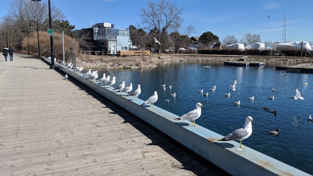 Humber Bay Promenade Park | 2195 Lake Shore Blvd W, Toronto, ON, Canada