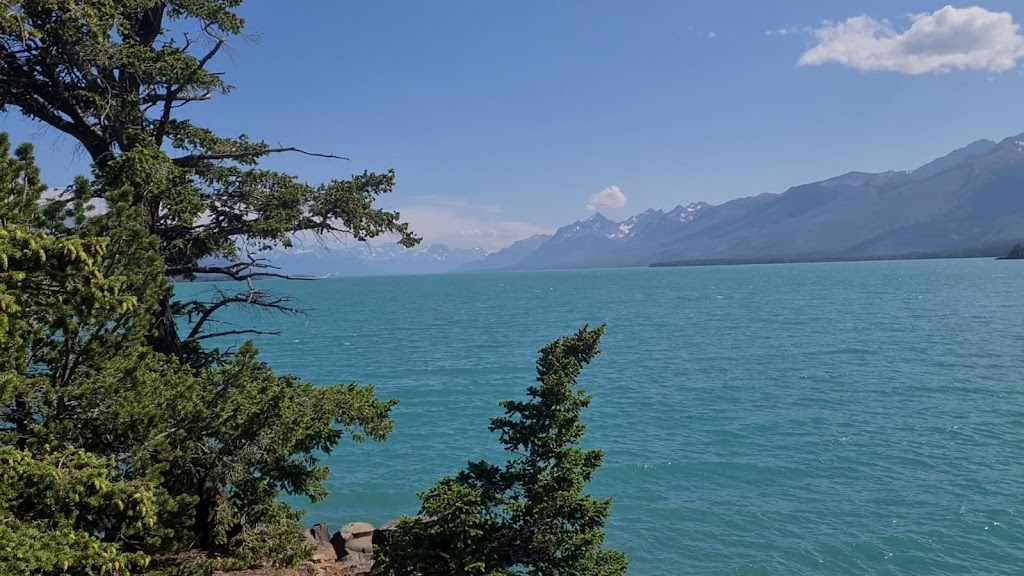 Bear Camp | Cariboo J, BC V0L 1W0, Canada | Phone: (778) 417-0091
