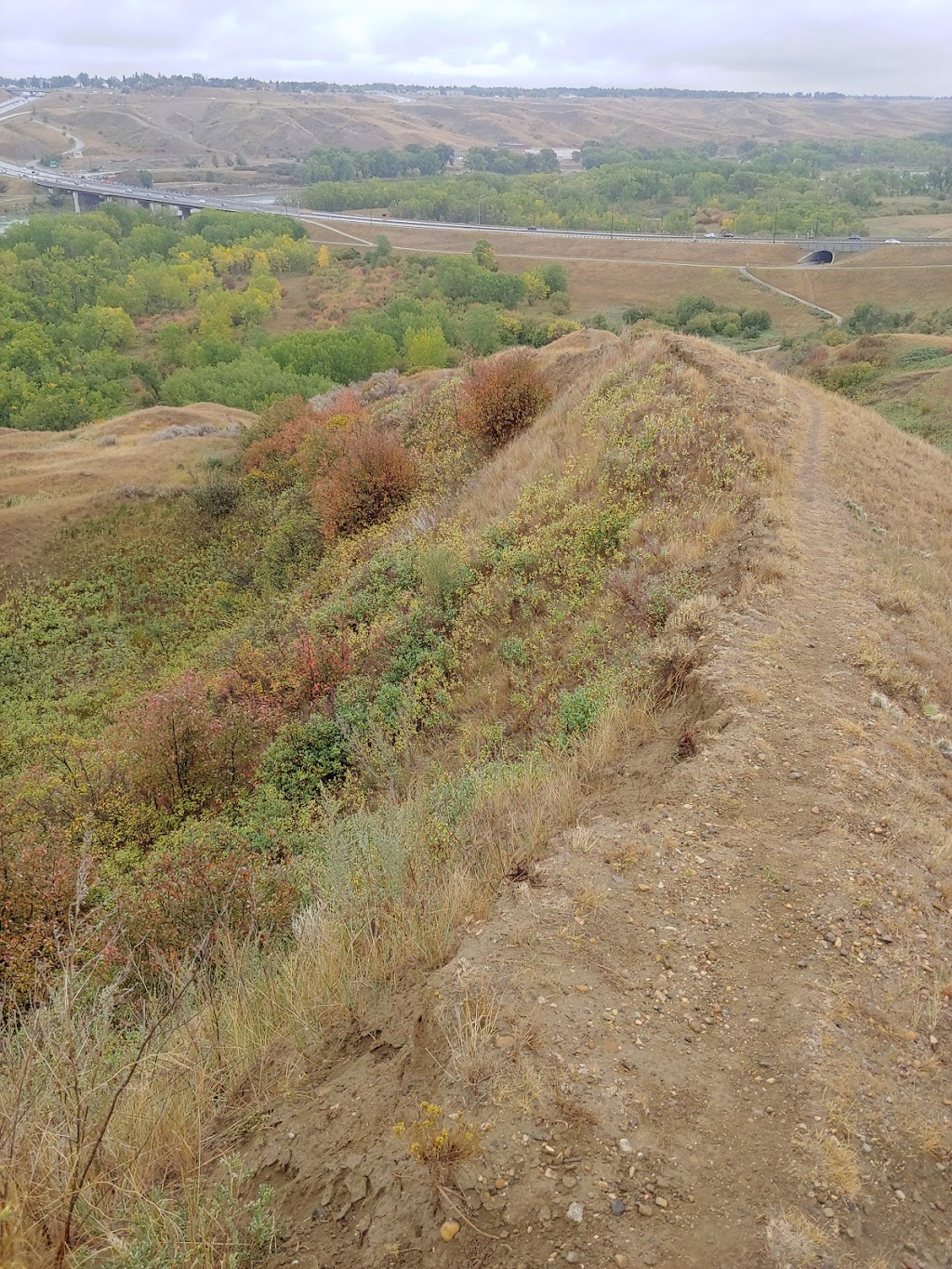 Bull Trail Park North | 153 Coachwood Point W, Lethbridge, AB T1K 6A6, Canada | Phone: (403) 329-7355