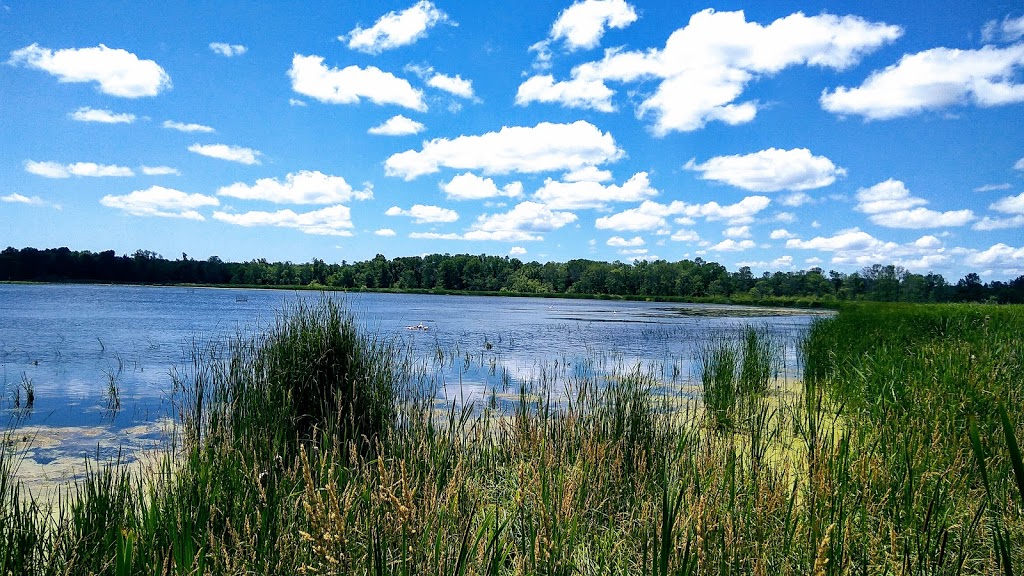 Lynde Shores Conservation Area | 1285 Victoria St W, Whitby, ON L1P 2B3, Canada | Phone: (905) 579-0411