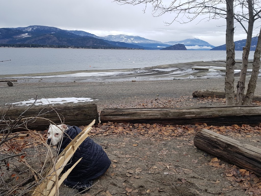 Sorrento Centre | 1159 Passchendaele Rd, Sorrento, BC V0E 2W0, Canada | Phone: (250) 675-2421