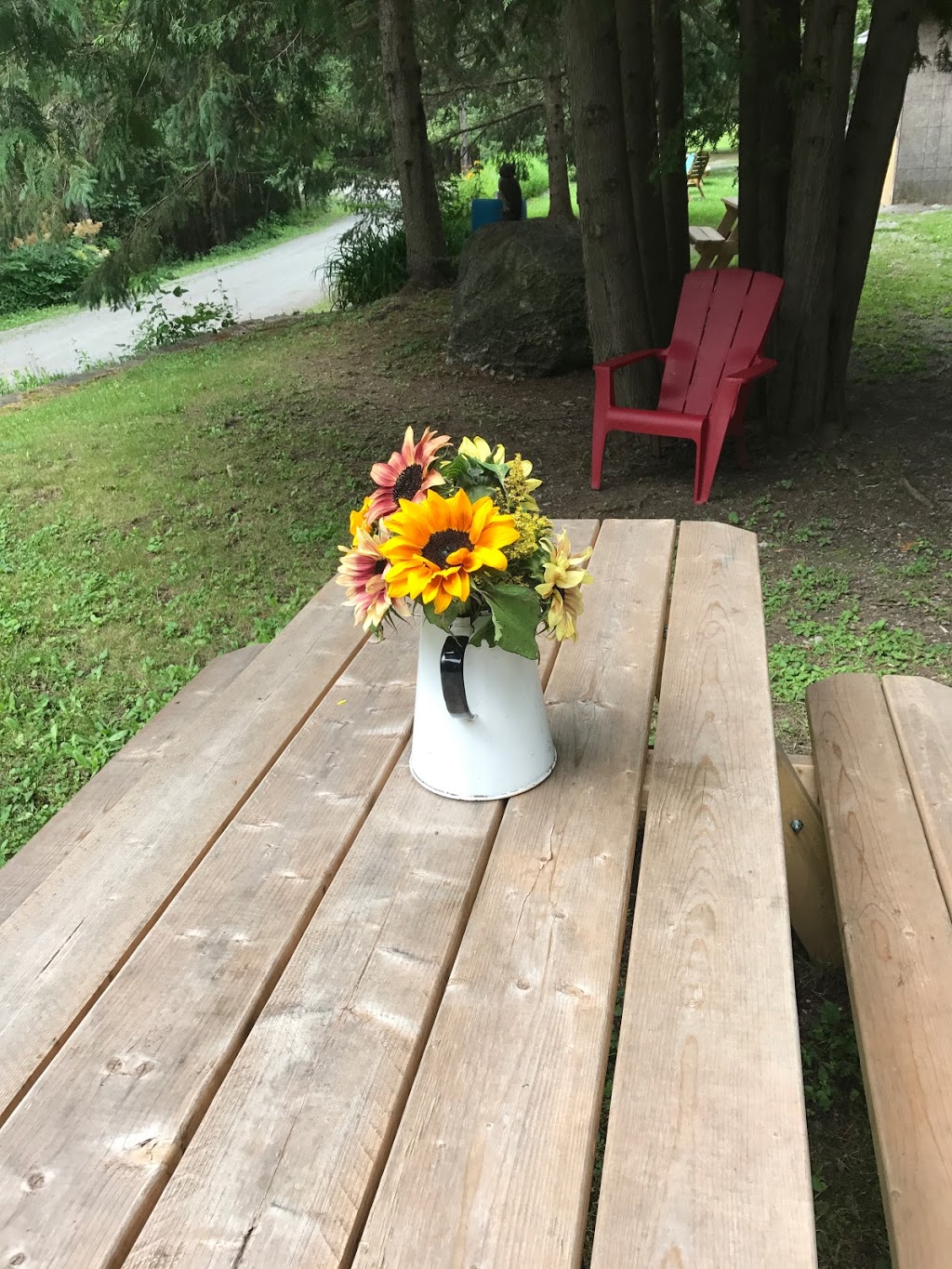 Lakefront Hideaway Resort | 3601 Monck Rd, Norland, ON K0M 2L0, Canada | Phone: (888) 939-3601