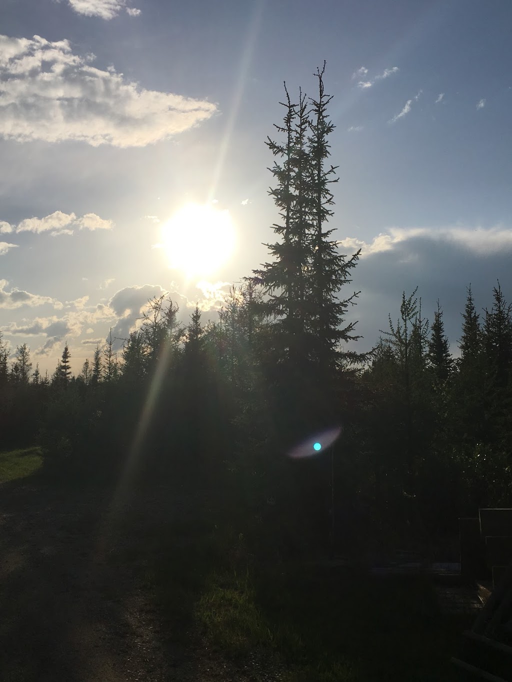 Moose Meadows RV Park | 53212 Range Rd 172, Edson, AB T7E 1Y4, Canada | Phone: (780) 712-3455