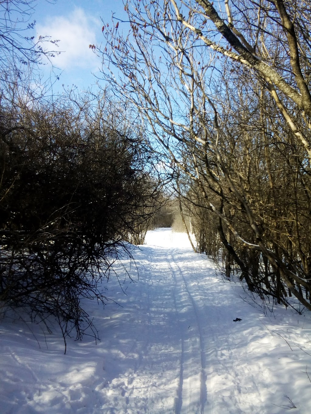 Barry Mullen Park | 152 Grandview Rd, Nepean, ON K2H 8B1, Canada