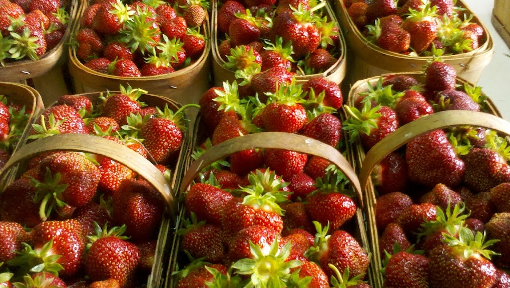 Les filles Auclair - Fraises & Framboises | 180 Rang St Henri, Lavaltrie, QC J5T 3R1, Canada | Phone: (450) 586-1463
