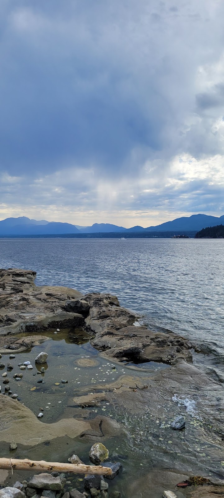Fords Cove Restaurant | 10795 Central Rd, Hornby Island, BC V0R 1Z0, Canada | Phone: (250) 335-2169