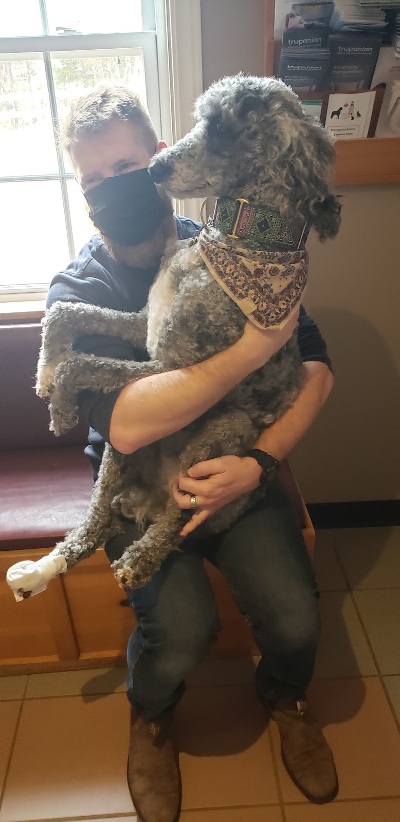 Miltonvale Park Veterinary Clinic | 950 Lower Malpeque Rd, Charlottetown, PE C1E 0P8, Canada | Phone: (902) 368-8800
