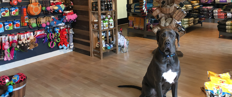 RuffMutts | 290 Main St Unit D, Niverville, MB R0A 1E0, Canada | Phone: (204) 846-7833