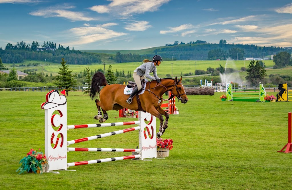 Rocky Mountain Show Jumping | 1405 226 Ave W, De Winton, AB T0L 0X0, Canada | Phone: (403) 256-8652