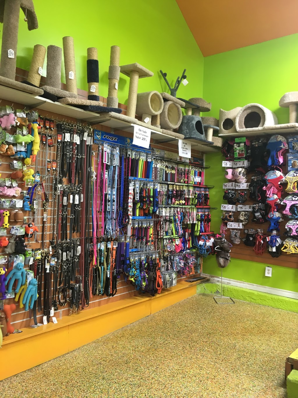 Pet Solutions Canada | 3350 Dufferin St, North York, ON M6A 3A4, Canada | Phone: (416) 787-3200