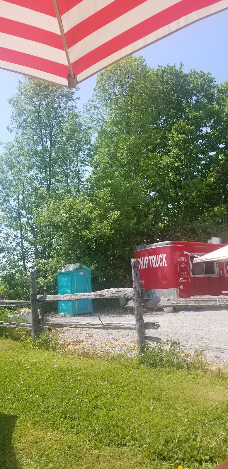 Peggys Chip Truck | 4216 Simcoe County Rd 169, Brechin, ON L0K 1B0, Canada
