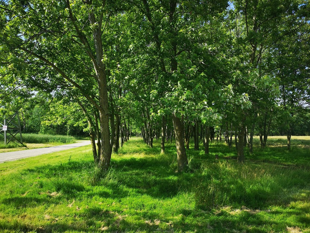 Petrolia Discovery | 4381 Discovery Line, Petrolia, ON N0N 1R0, Canada | Phone: (519) 882-0897
