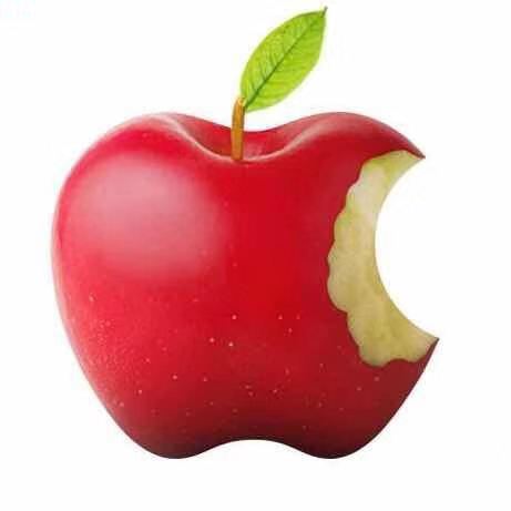 Jackies Macbook repair & Iphone repair | 119 Hillwood St, Markham, ON L6C 3E6, Canada | Phone: (647) 862-6663