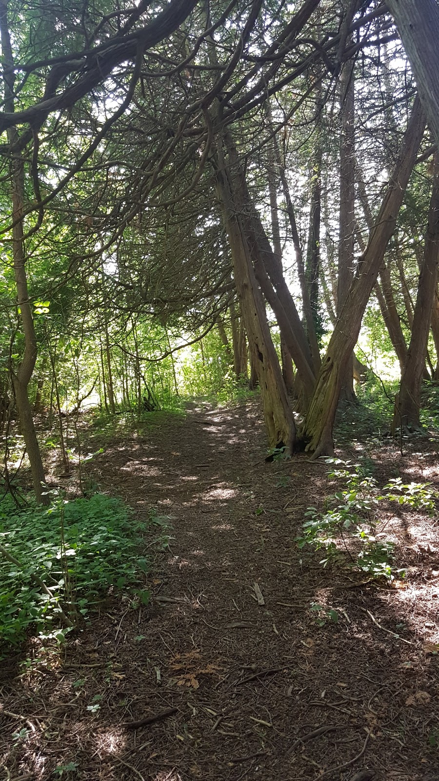 Isabel Morris Park | 20 Concession St, Lakefield, ON K0L 2H0, Canada | Phone: (705) 292-9507