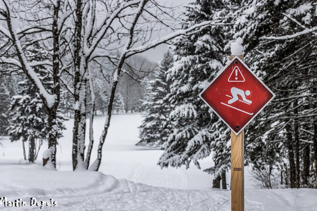 Ski de Fond Stoneham | Sentiers de skis:, 56 1re Avenue, Stoneham-et-Tewkesbury, QC G3C 0K7, Canada | Phone: (418) 571-8206